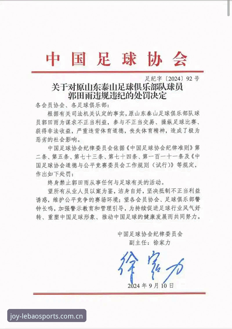 足协第三批禁足名单详解——65人受罚背后的行业整顿